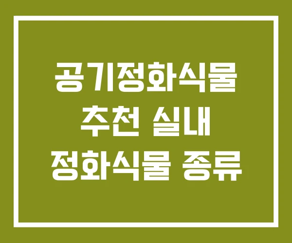 공기정화식물 추천 실내 정화식물 종류