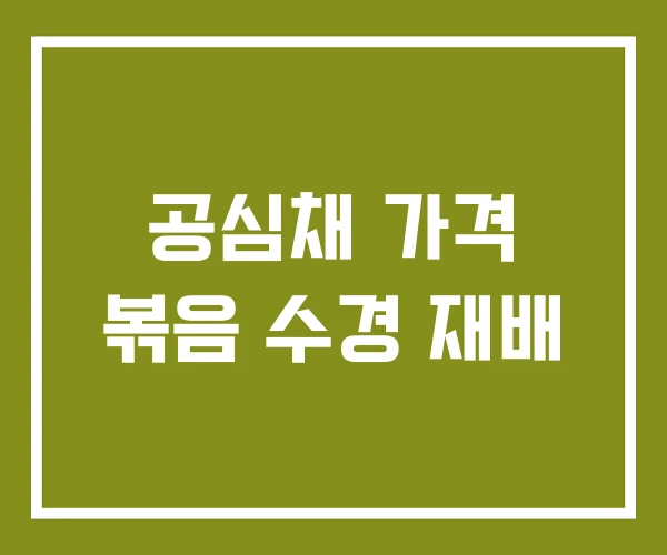 공심채 가격 볶음 수경 재배