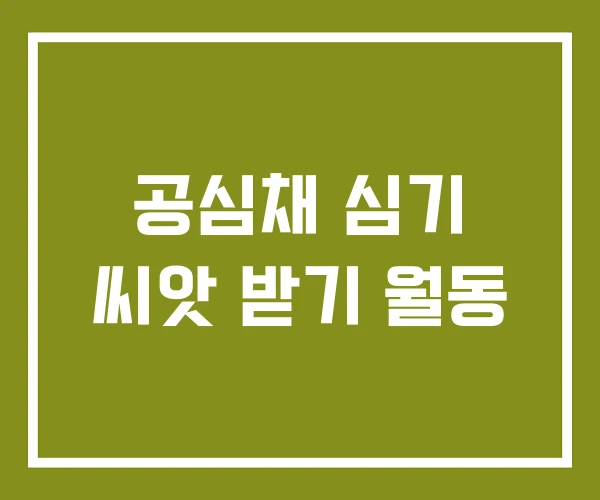 공심채 심기 씨앗 받기 월동