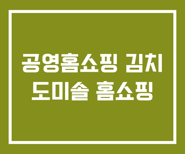 공영홈쇼핑 김치 도미솔 홈쇼핑