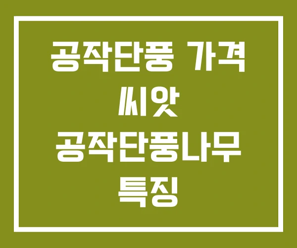 공작단풍 가격 씨앗 공작단풍나무 특징