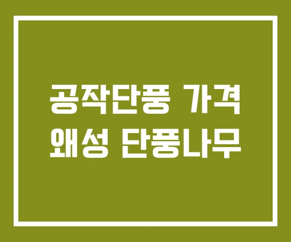 공작단풍 가격 왜성 단풍나무