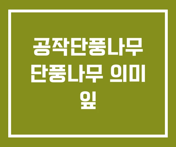공작단풍나무 단풍나무 의미 잎