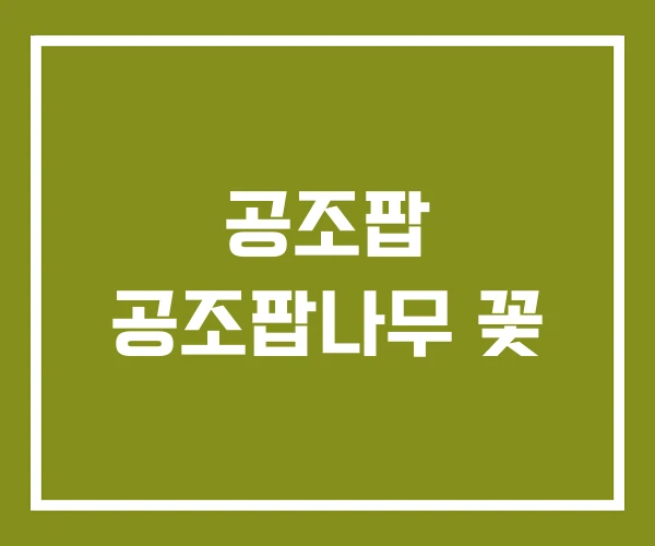 공조팝 공조팝나무 꽃