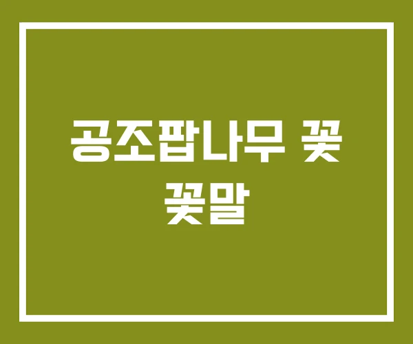 공조팝나무 꽃 꽃말