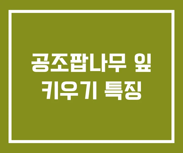 공조팝나무 잎 키우기 특징