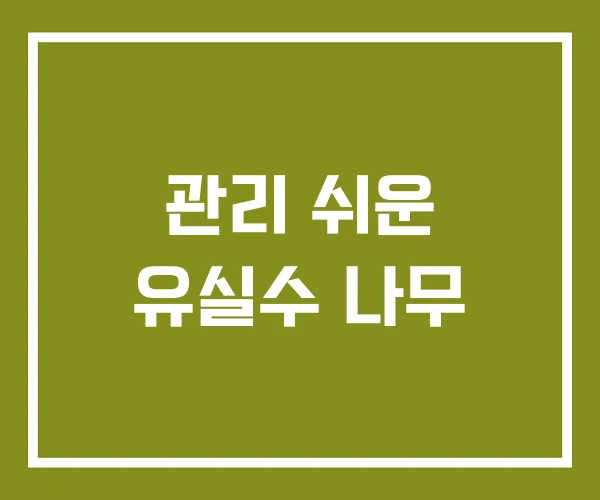 관리 쉬운 유실수 나무