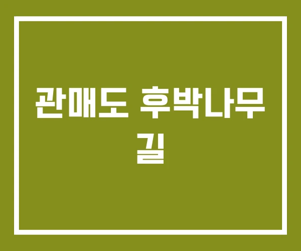 관매도 후박나무 길