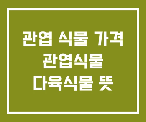 관엽 식물 가격 관엽식물 다육식물 뜻