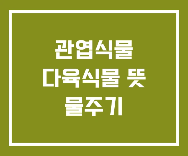관엽식물 다육식물 뜻 물주기