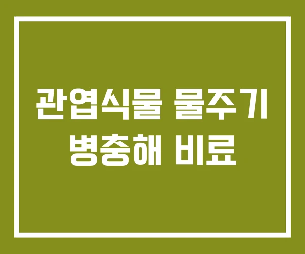 관엽식물 물주기 병충해 비료