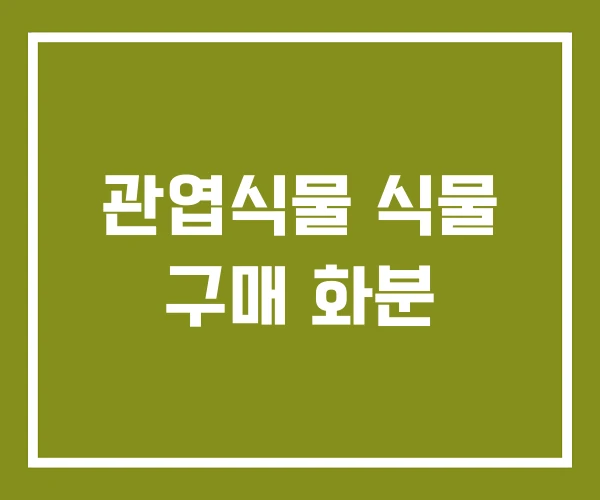 관엽식물 식물 구매 화분