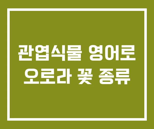 관엽식물 영어로 오로라 꽃 종류