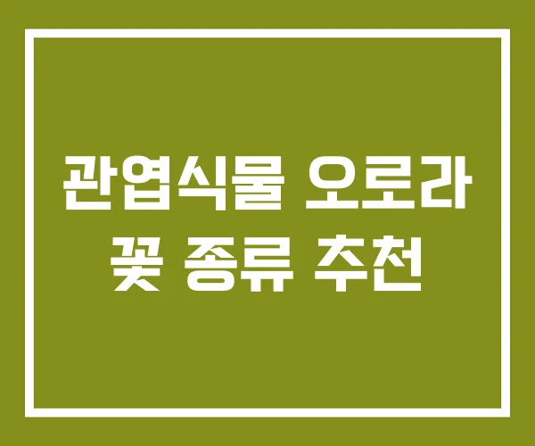 관엽식물 오로라 꽃 종류 추천