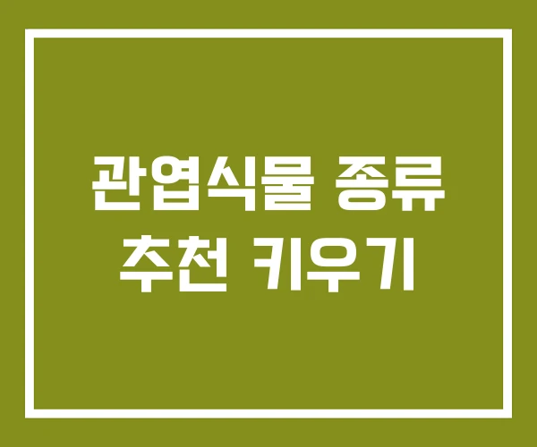 관엽식물 종류 추천 키우기