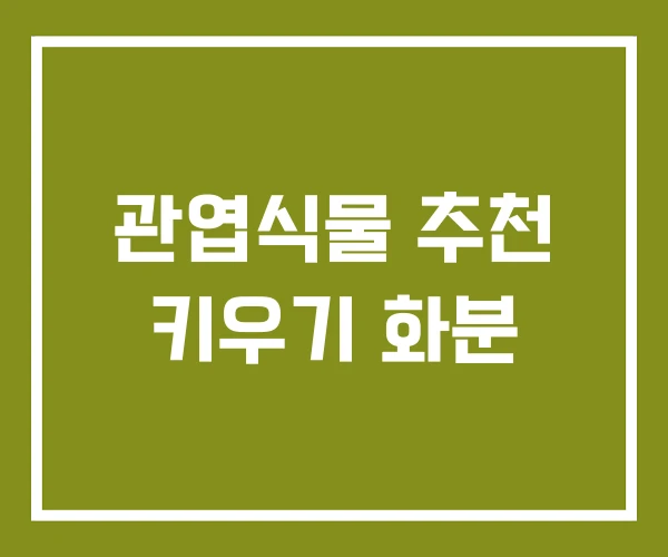 관엽식물 추천 키우기 화분