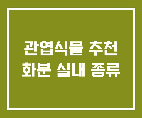 관엽식물 추천 화분 실내 종류