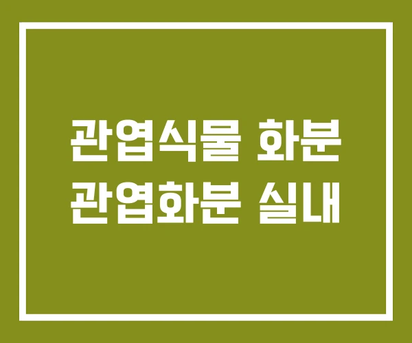 관엽식물 화분 관엽화분 실내