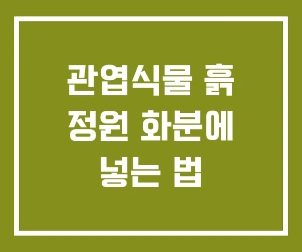 관엽식물 흙 정원 화분에 넣는 법