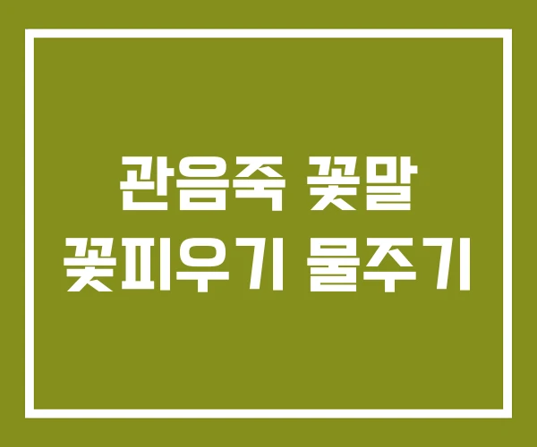 관음죽 꽃말 꽃피우기 물주기