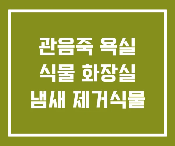 관음죽 욕실 식물 화장실 냄새 제거식물