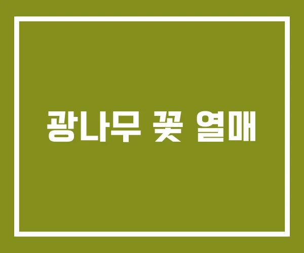 광나무 꽃 열매