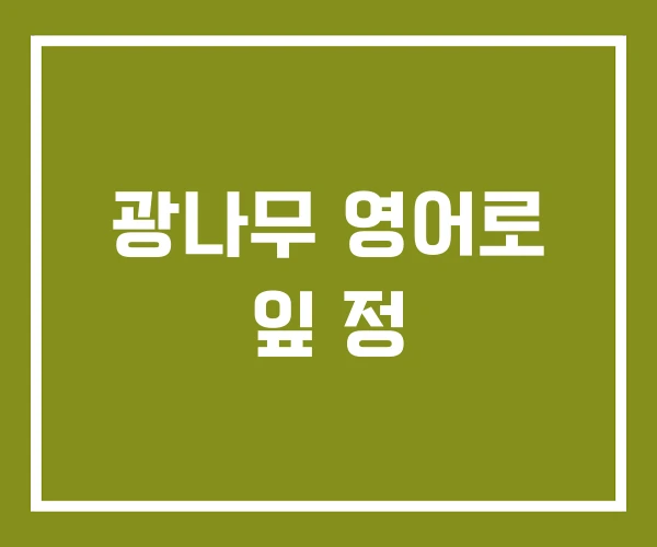광나무 영어로 잎 정