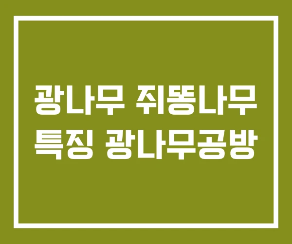 광나무 쥐똥나무 특징 광나무공방