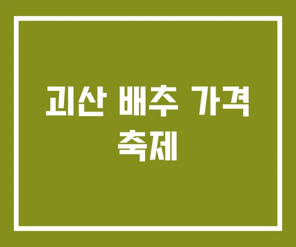 괴산 배추 가격 축제