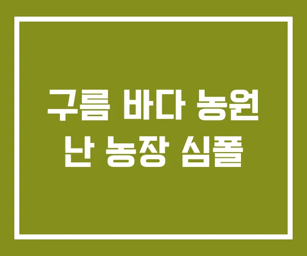 구름 바다 농원 난 농장 심폴