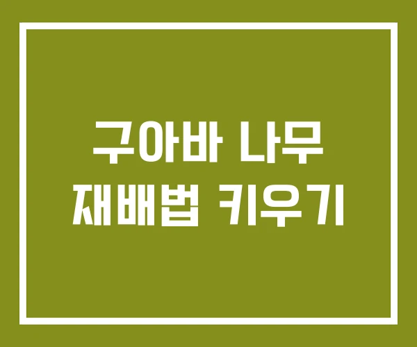 구아바 나무 재배법 키우기