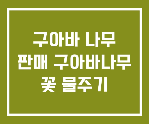 구아바 나무 판매 구아바나무 꽃 물주기