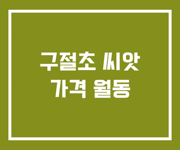 구절초 씨앗 가격 월동