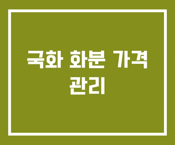 국화 화분 가격 관리