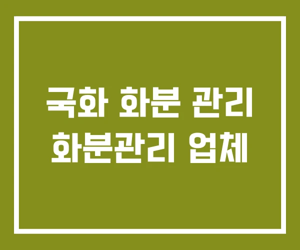국화 화분 관리 화분관리 업체
