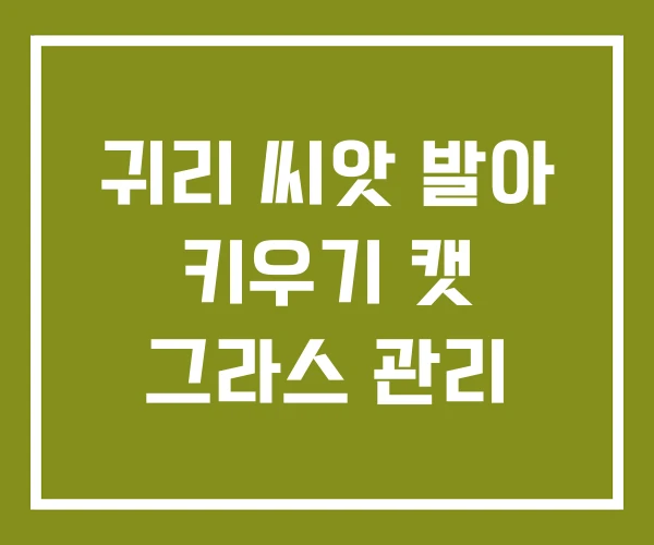 귀리 씨앗 발아 키우기 캣 그라스 관리