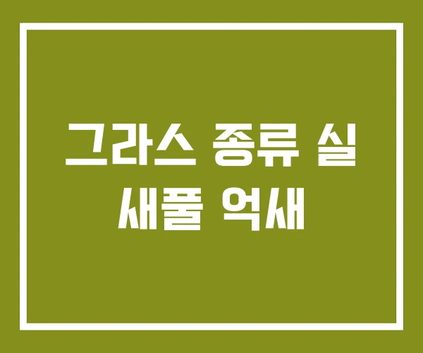 그라스 종류 실 새풀 억새