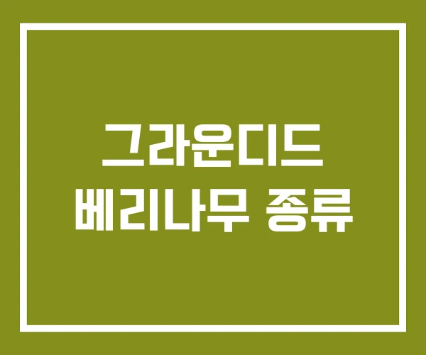 그라운디드 베리나무 종류