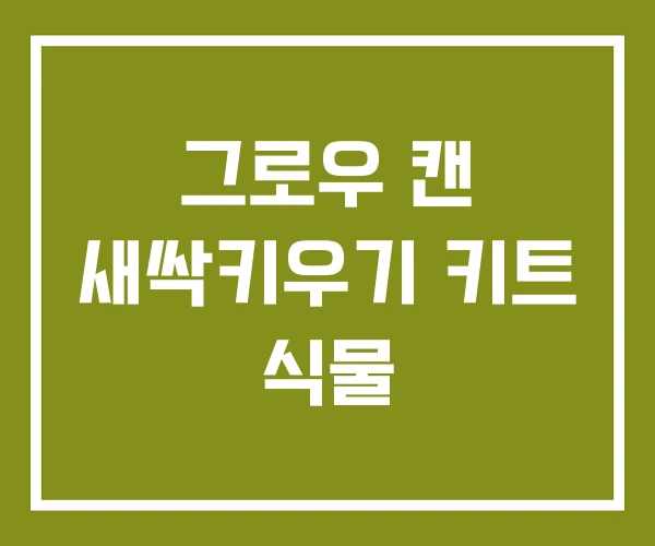 그로우 캔 새싹키우기 키트 식물