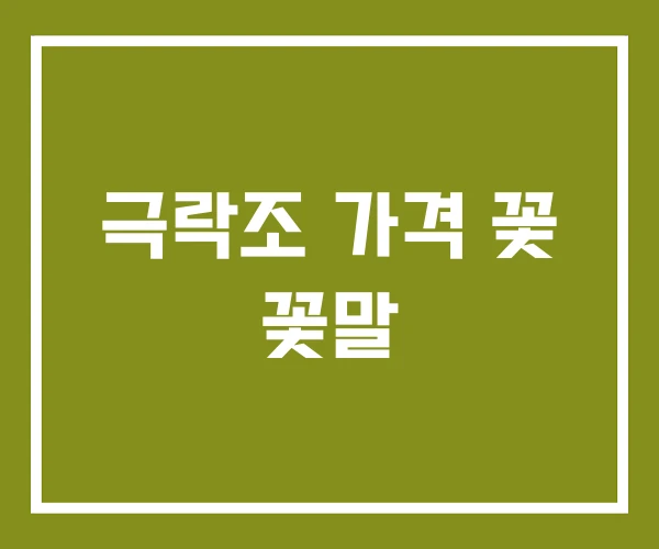 극락조 가격 꽃 꽃말