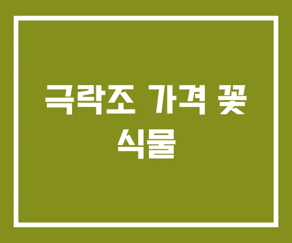 극락조 가격 꽃 식물