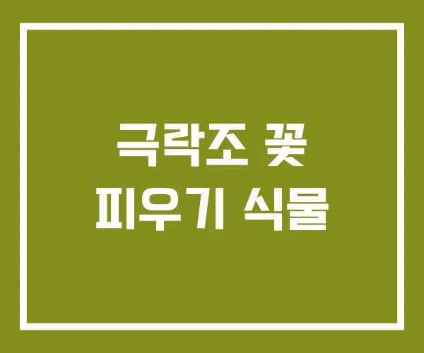 극락조 꽃 피우기 식물