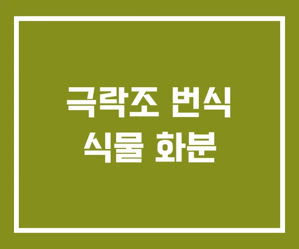극락조 번식 식물 화분