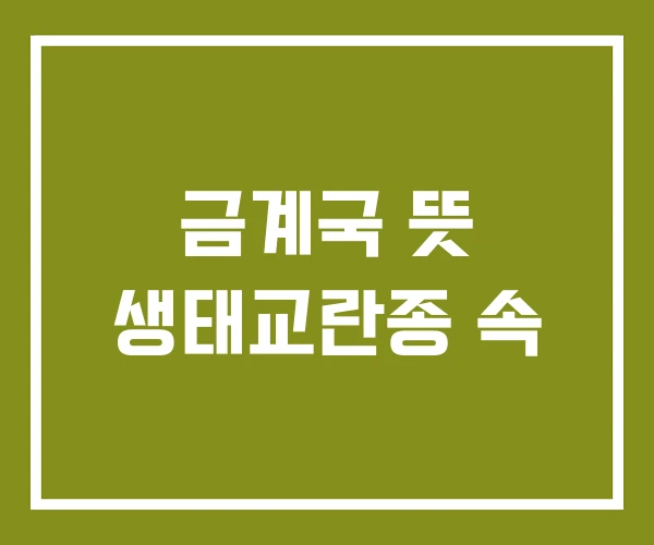 금계국 뜻 생태교란종 속