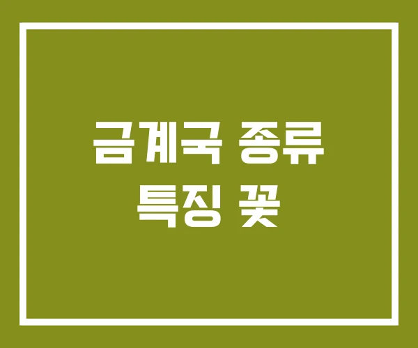 금계국 종류 특징 꽃