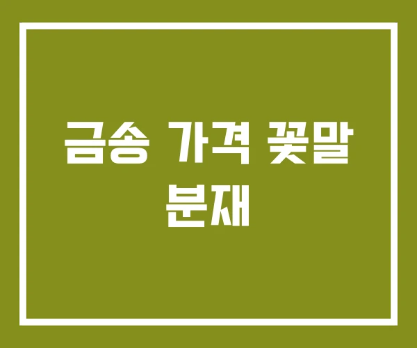 금송 가격 꽃말 분재