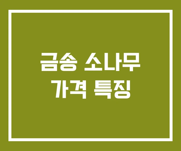 금송 소나무 가격 특징