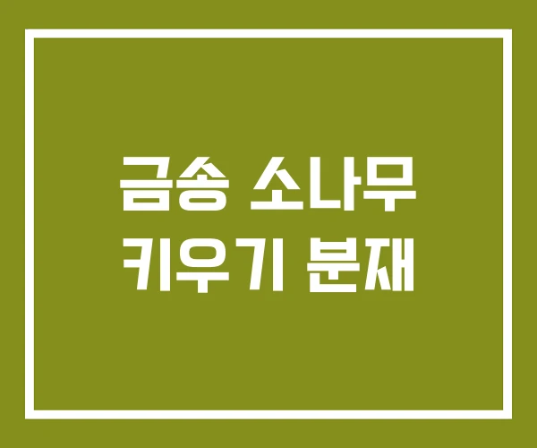 금송 소나무 키우기 분재