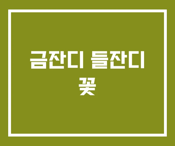 금잔디 들잔디 꽃