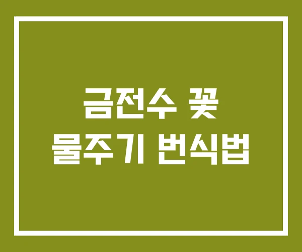 금전수 꽃 물주기 번식법
